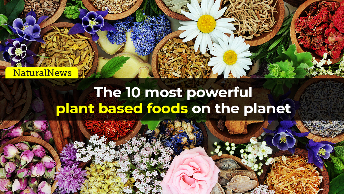 From the Health Ranger Store The 10 most powerful plantbased foods on