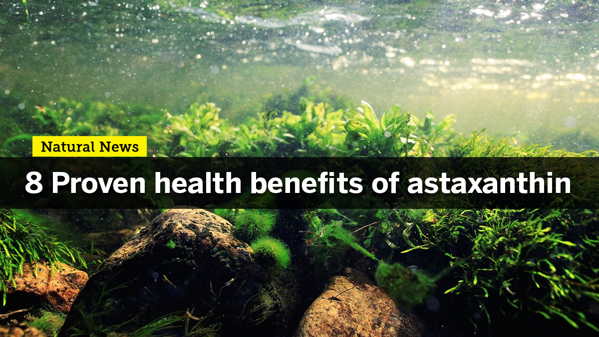 Enhance your strength and stamina with Astaxanthin, one of nature’s