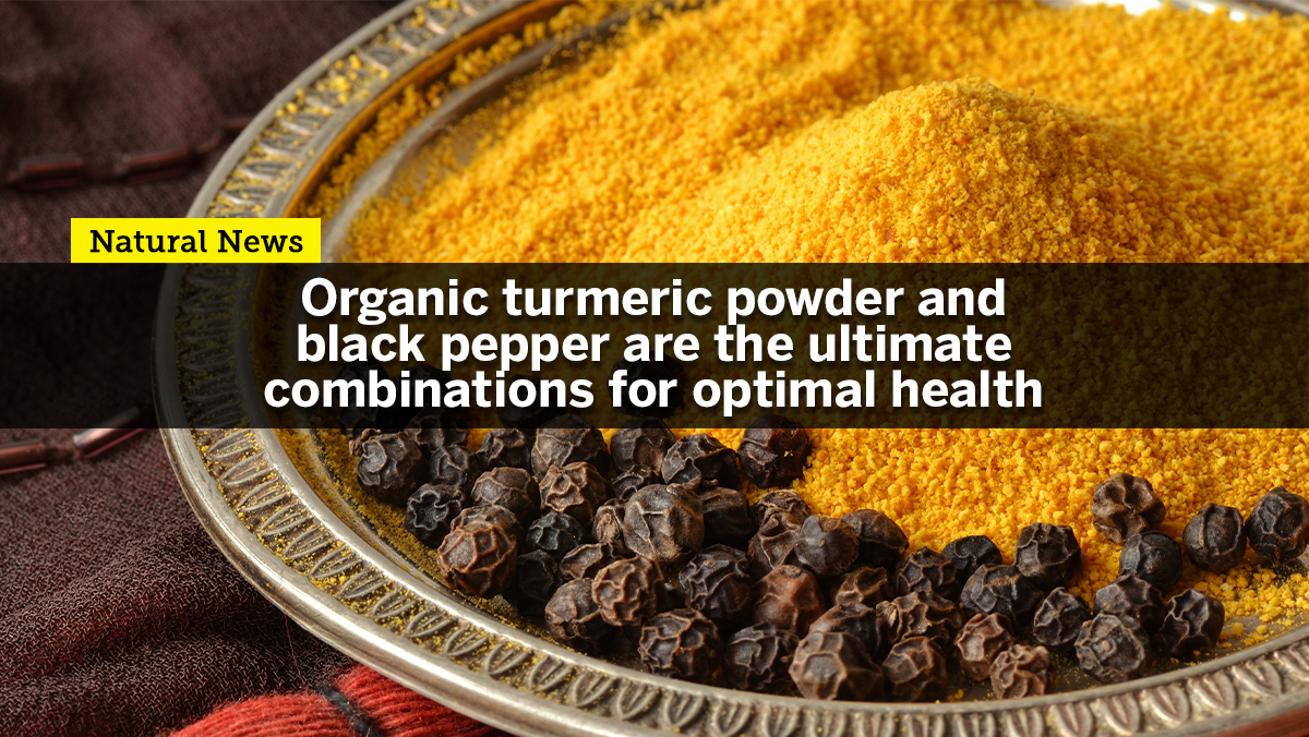 Organic turmeric powder with black pepper is the ultimate combination
